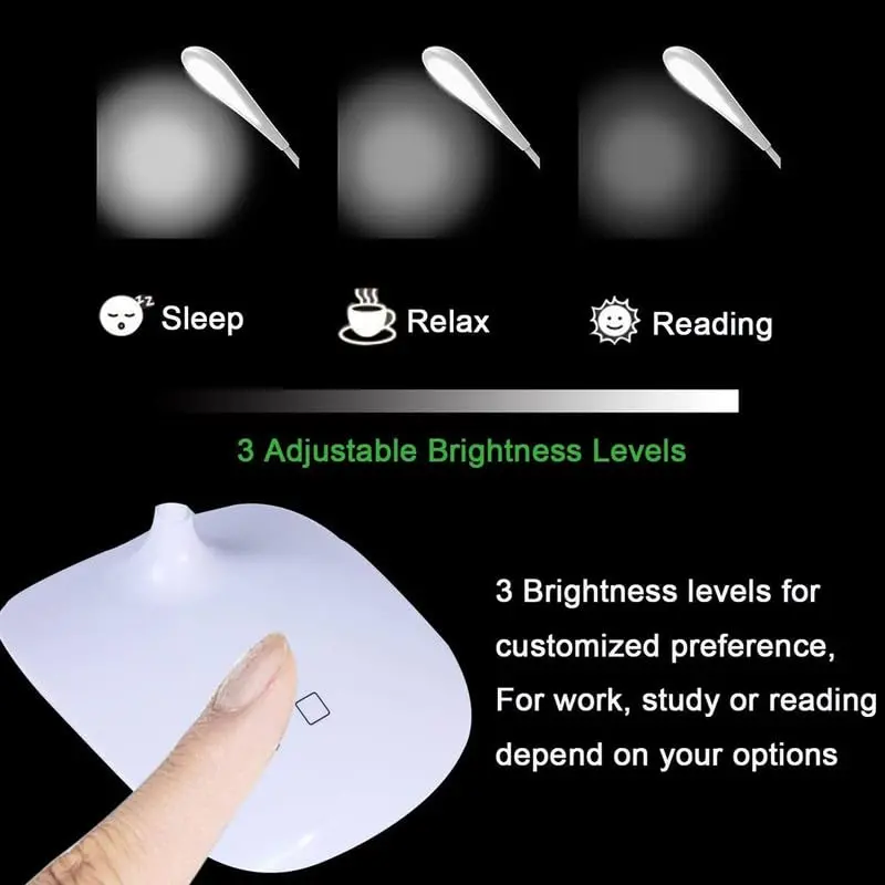 lamp3.webp